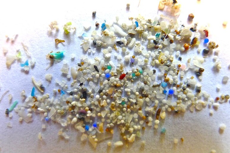 Particelle e fibre di microplastica possono insinuarsi nel tessuto cerebrale (fonte: Flickr, Oregon State University) - RIPRODUZIONE RISERVATA