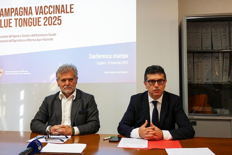 Vaccinazione blue tongue, assessori Bartolazzi e Satta - RIPRODUZIONE RISERVATA