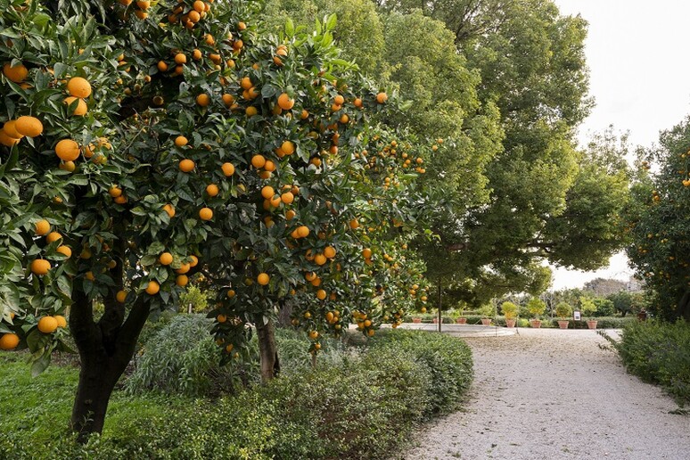 - RIPRODUZIONE RISERVATA